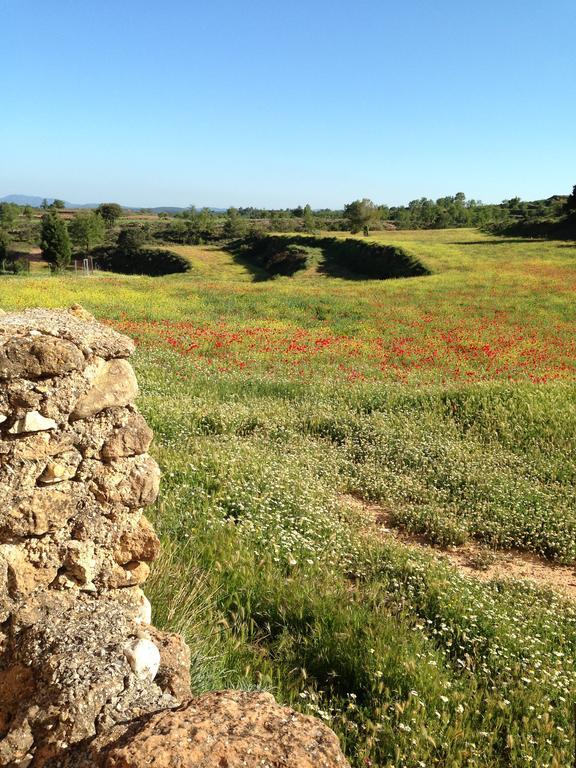 Mas De León Casa de Campo